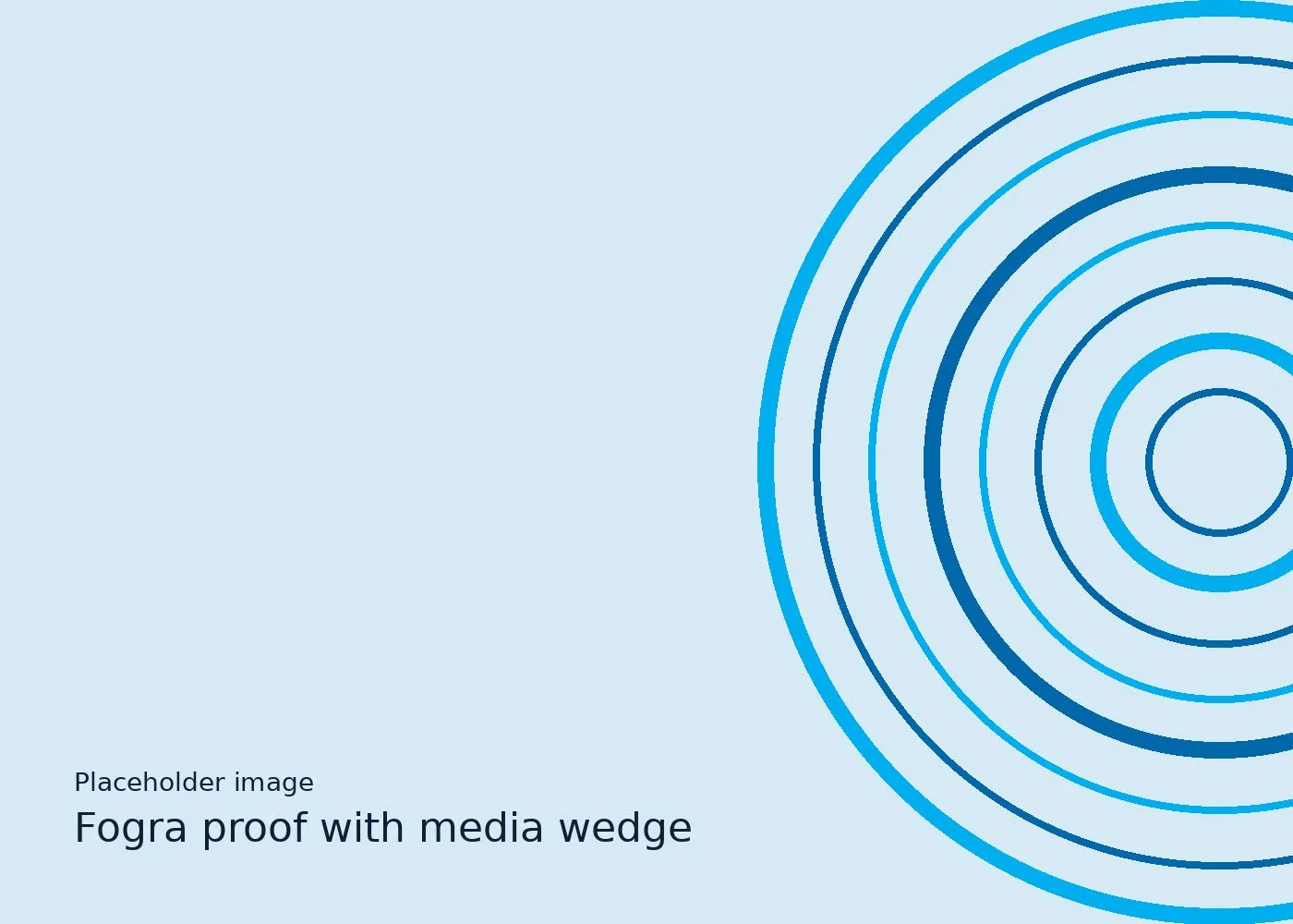 Placeholder for a photo of a Fogra proof with its media wedge